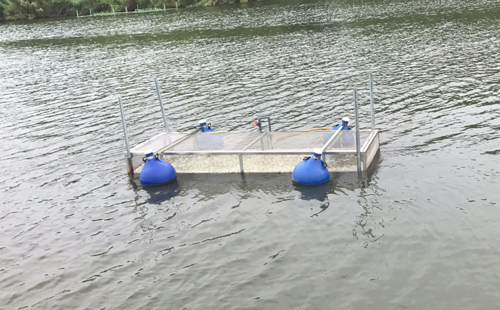 活性汙泥泡沫 活性汙泥泡沫